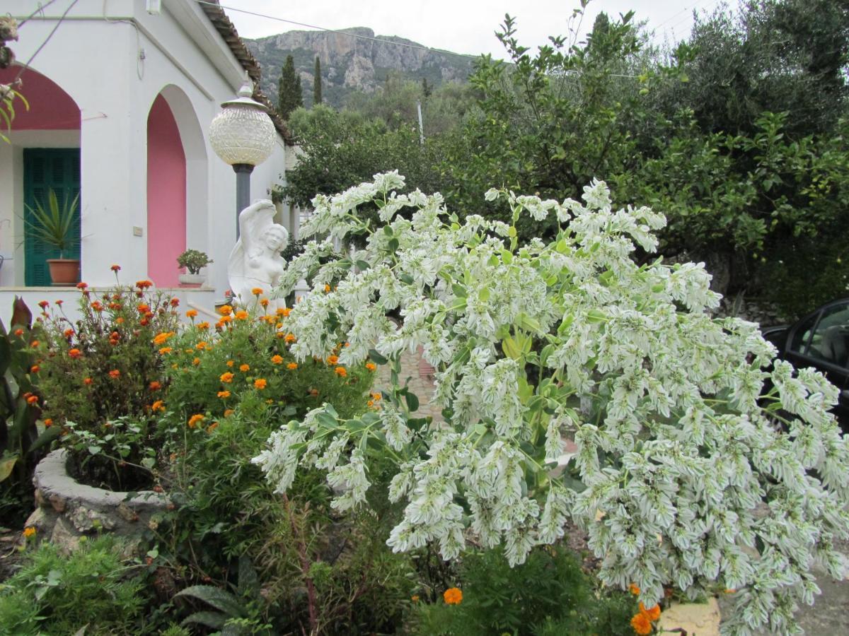 Vanilla House Палеокастрица Экстерьер фото